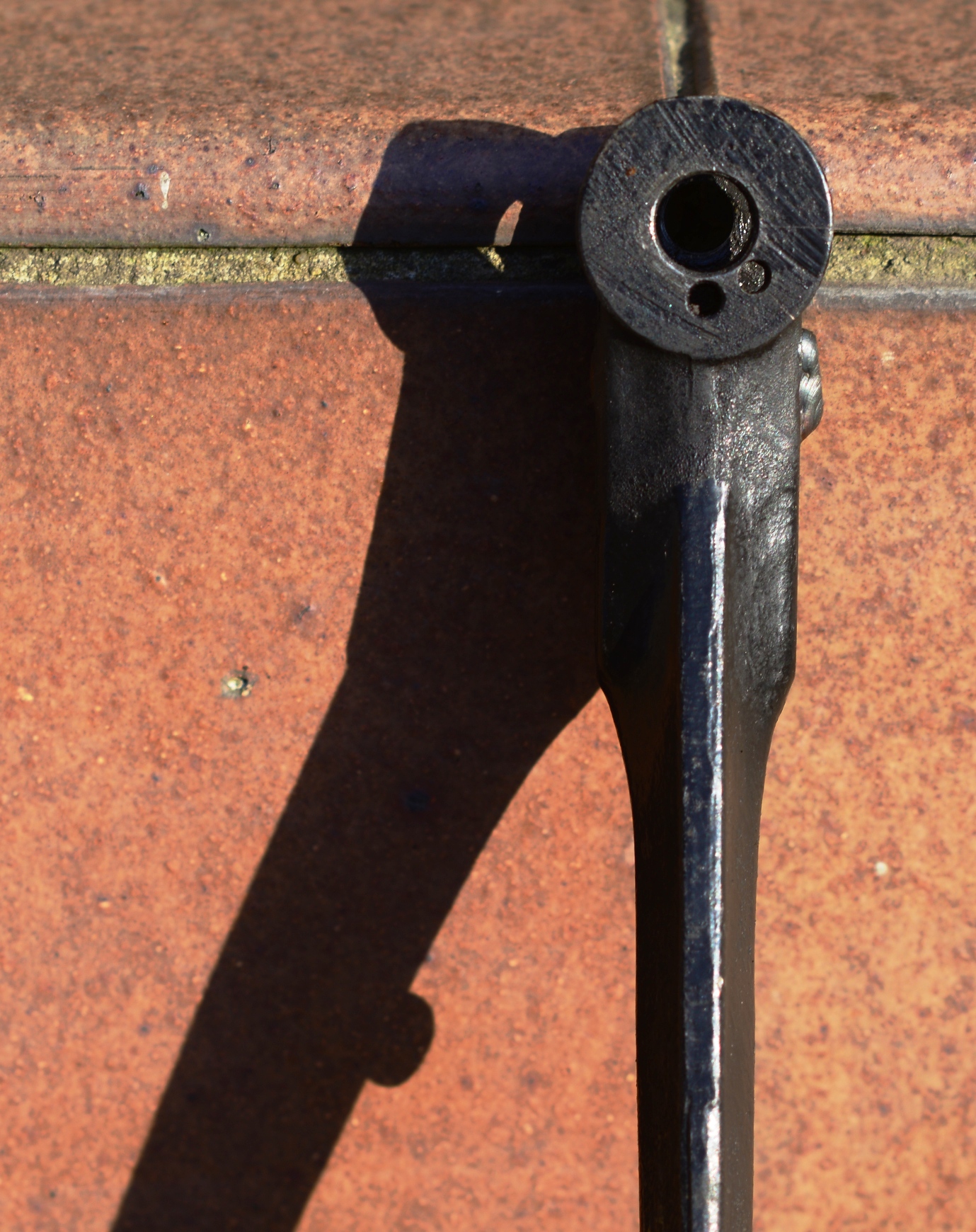 DSC_1514.JPG